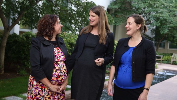 Ms Rishworth with  Ms O'Dwyer and Kate Ellis earlier this year.