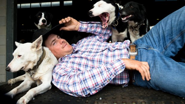 Murray Wilkinson with his cattle dogs at the Easter Show in Sydney.
