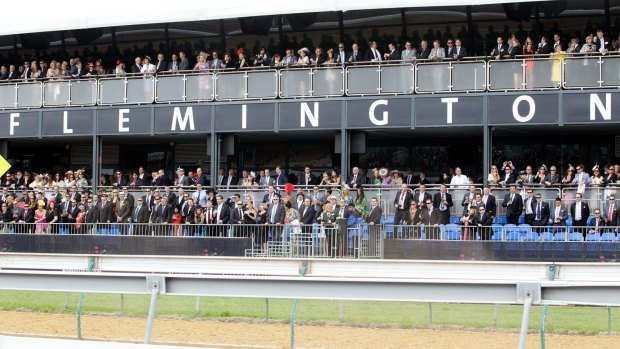 Punters claim a good vantage point to watch the Melbourne Cup - but there are plenty more on offer.
