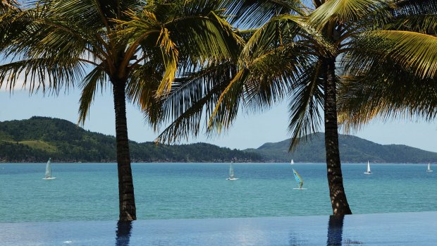 Hundreds of wild animals have been culled at Hamilton Island, in the Whitsundays.