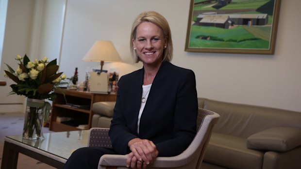 Senator Fiona Nash is Minister for Regional Development, which includes Norfolk Island.