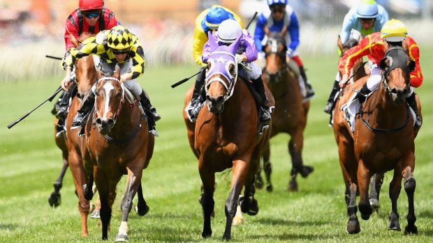 Blake Shinn riding Jennifer Lynn (left) wins the Lexus Hybrid Plate on Melbourne Cup Day.