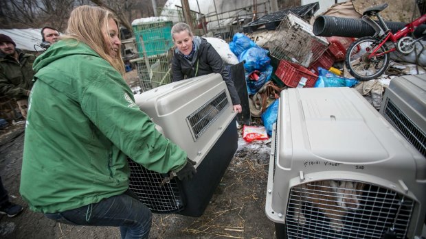 Lola Webber, left, Humane Society International's campaign manager for South Korea and Abby Hubbard, deputy director of the Animal Welfare League of Alexandria, carry a rescued dog in a crate.