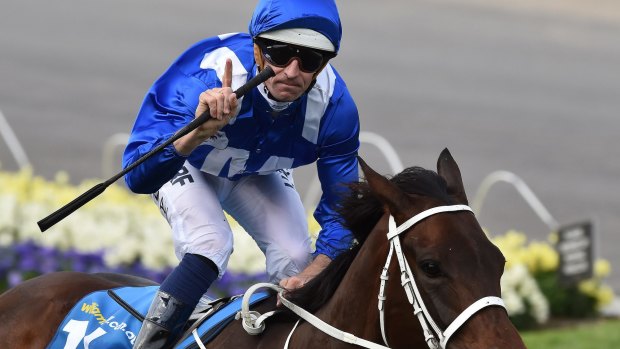 Appeal: Hugh Bowman is hoping to keep his ride on board Winx for the Apollo Stakes.