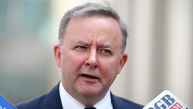 "Quite clearly [Kimberley Kitching] had the support of some significant figures from the Victorian branch and that's a matter for them": NSW Labor frontbencher Anthony Albanese.