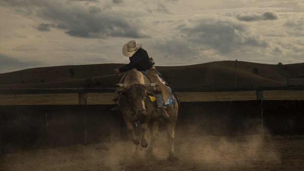 Cody Heffernan clings on to Long Prong, a bull bred by his brother, Brad. 