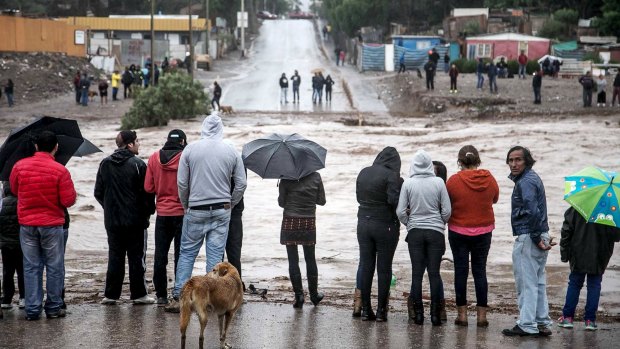 Locals gather near a flooded road after heavy rains in Copiapo city, Chile, March 25, 2015. 