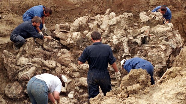 International experts examine bodies believed to be some of the 8000 missing persons who fled Srebrenica in July 1995.