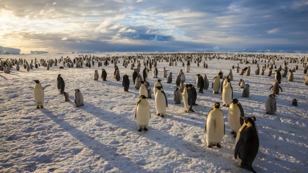 Nice on ice: A family trip to Antarctica left a lasting impression on Lisa Wilkinson.