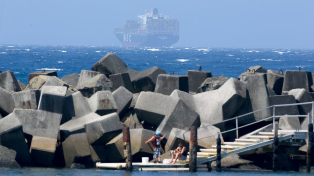 Out to sea: The MSC Dalma container ship anchored 3 nautical miles off the coast of the Illawarra on Friday, after rescuing the surfer.