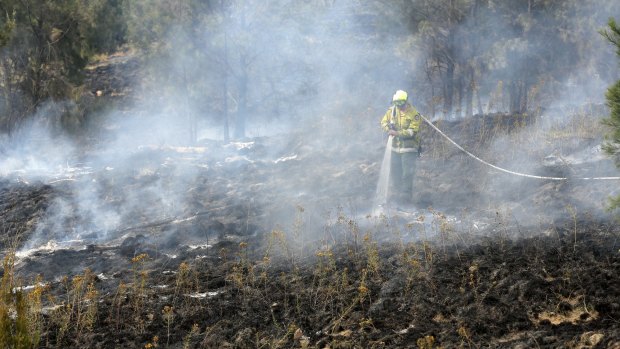 Fire fighters from ACT Fire and Rescue, ACT Rural Fire Service and from TAMS control a grass fire near Jim Pike Avenue in Gordon in November 2014.