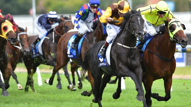 Proven winner: Alpine Eagle leads the way in the Caulfield Autumn Stakes in February.