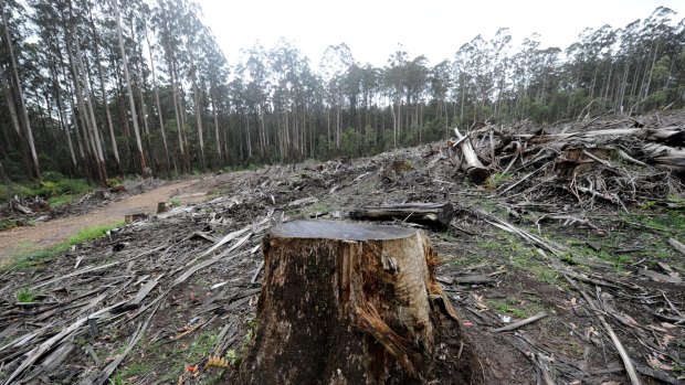 The Andrews government is considering creating a new national park in the central highlands. 