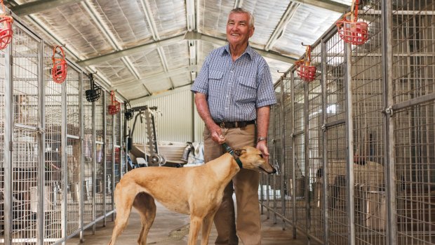 Greyhound breeder and trainer Greg Board on his property just south of Orange.