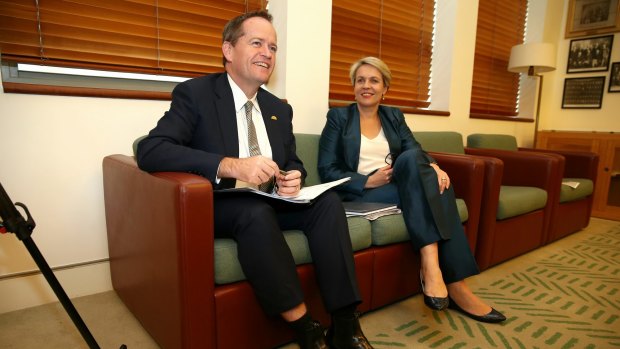 Opposition Leader Bill Shorten announced late on Tuesday that he will introduce a private member's bill on same-sex marriage next week. His deputy Tanya Plibersek will co-sponsor it.