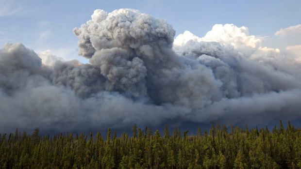 Smoke rises above trees as a wildfire burns in Fort McMurray, Alberta, on Wednesday.