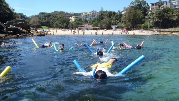Snorkelling with a bit of assistance at Shelly Beach.