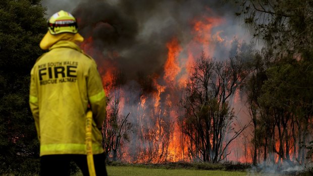 Fire crews battle a blaze at Kurri Kurri on Tuesday.