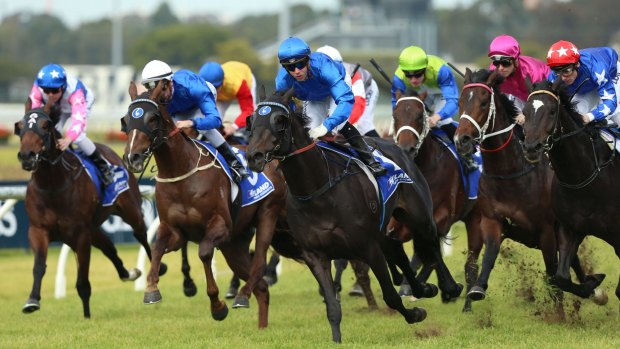 Needs some luck: Morton's Fork (centre, blue colours) will line up in Saturday's Manfred Stakes.