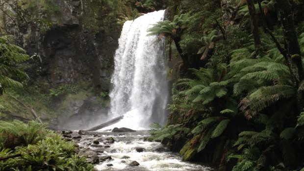 Hopetoun Falls, Great Otway National Park.