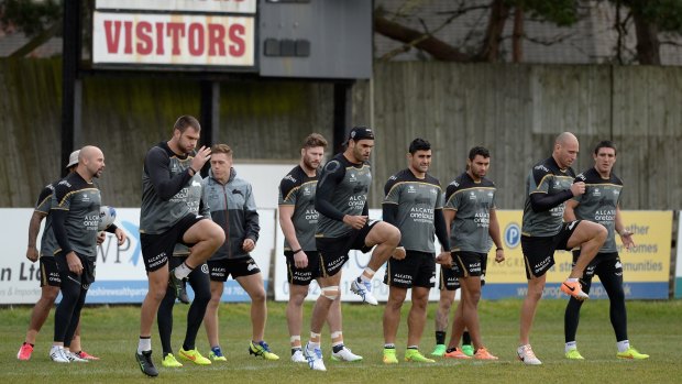 Rabbit invasion:  South Sydney Rabbitohs warm up ahead of a training session at Orrell.