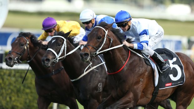 Close finish: Glyn Schofield (blue cap) rides Kermadec to win the George Main Stakes.