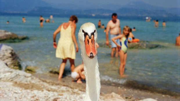 Italy, Lake Garda, 1999. From the 'Life's A Beach' series.