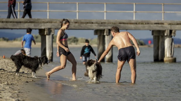 The icy waters at Altona beach attracted visitors on Sunday.