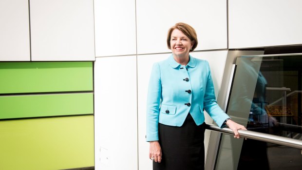 Former Queensland Premier Anna Bligh has been appointed as chief executive of the Australian Bankers Association.