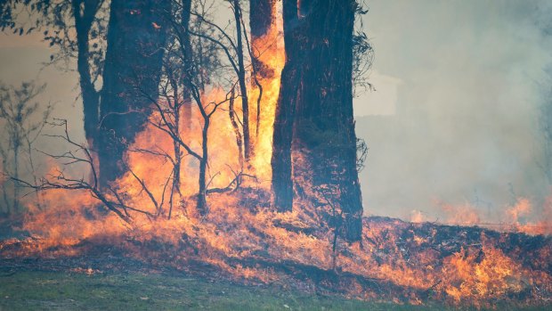 By the mid-afternoon, firefighters began to get the upper hand on the fires.