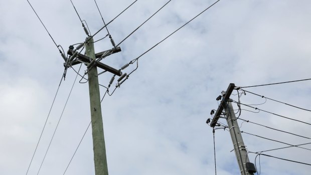 The independent Australian Energy Regulator has mandated a 10 per cent annual cut in electricity prices whether the poles and wires are sold or not.