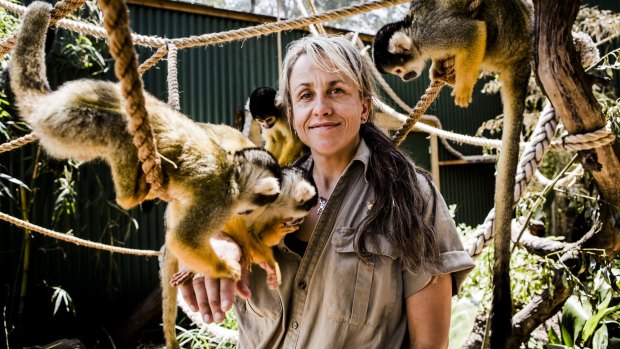 Zookeeper Lou Grossfeldt with Mogo Zoo's Bolivian squirrel monkeys.