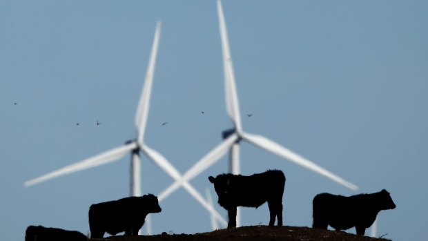 No bull: wind energy costs continue to fall, sinking about 50 per cent in the past five years.