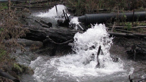 Springvale mine was pumping polluted mine water into the top of the East Wolgan swamp in 2008.