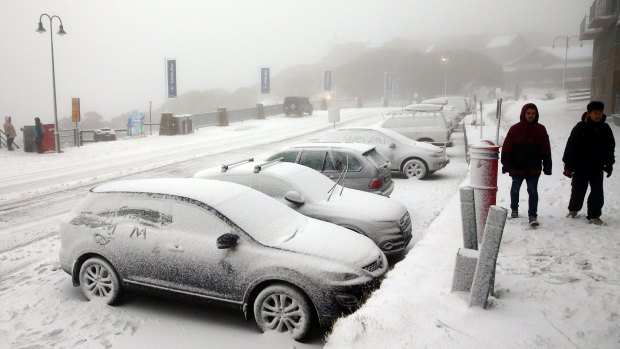 Cars covered in snow during a cold snap in Mount Buller on Saturday.