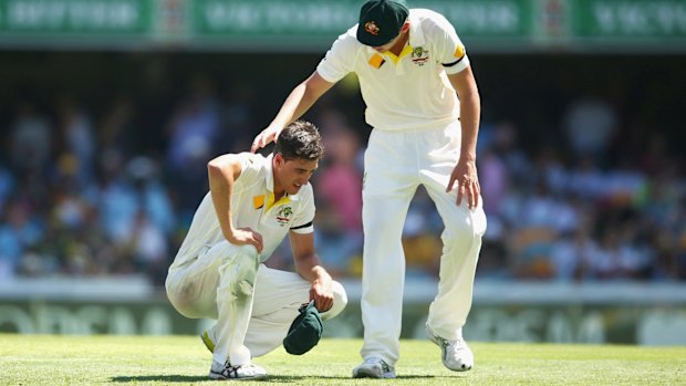 Suffering in the heat: Mitchell Starc, left.