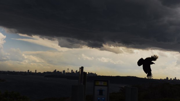 A storm moves over Sydney's CBD on Monday afternoon.