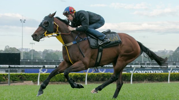 Trainer Gai Waterhouse is extremely confident her top sprinter English can win The Everest.