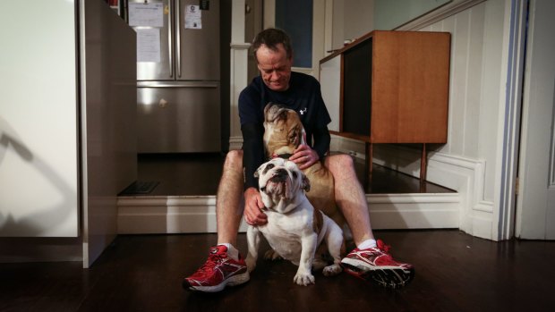 Opposition Leader Bill Shorten with his bulldogs, Matilda and Theodore, at home in Moonee Ponds, Victoria.