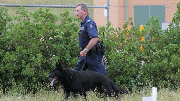 Police sniffer dogs join the investigation into a suspicious car fire that could be linked to a missing woman.