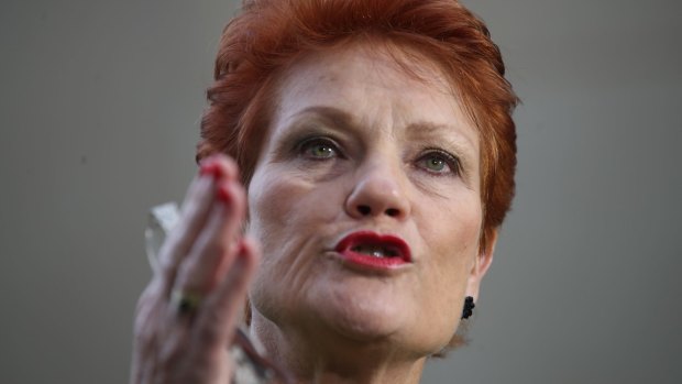 One Nation leader Pauline Hanson says she's "had to pick up the pieces from an organisation that was run incompetently and by people who were not up to doing the job".