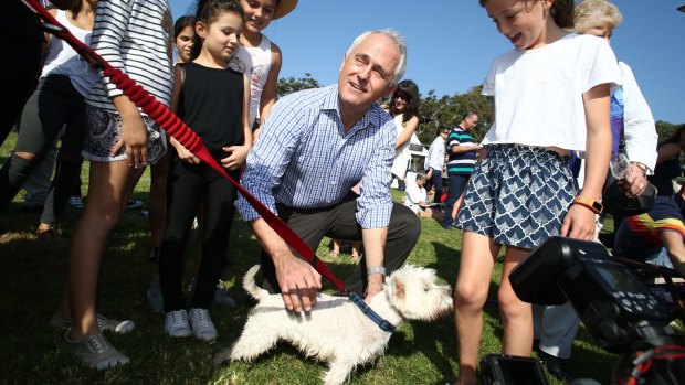Prime Minister Malcolm Turnbull visited the Taste Orange food and wine festival at Watsons Bay.