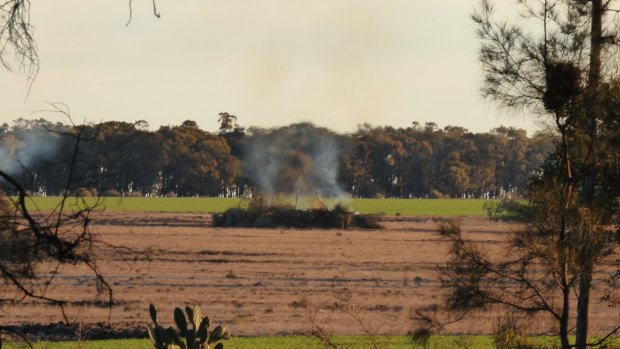 A photo taken by Office of Environment and Heritage officer Robert Strange of native vegetation being burned shortly before Glen Turner's murder at Croppa Creek. 