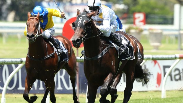 Hot shot: The Gai Waterhouse-trained Vancouver races to victory at Rosehill last month. 