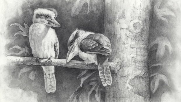 Kookaburras by Newcastle artist and illustrator Laura Arnull.