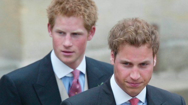 Prince Harry, pictured in 2005, earned a reputation as a party prince who often lashed out at photographers.
