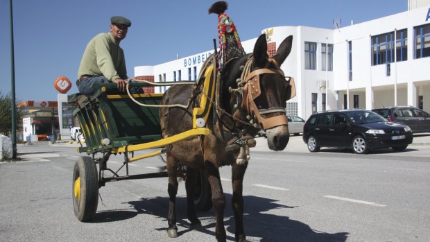 Horse and cart in downtown Aljezur.
