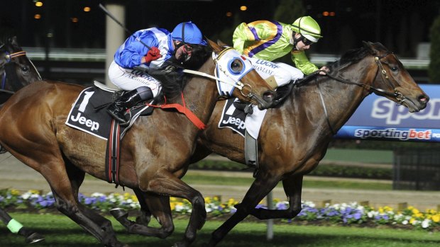 Winning combination: Dear Demi (blue) and Jim Cassidy take out the group 2 Stocks Stakes at Moonee Valley in September.