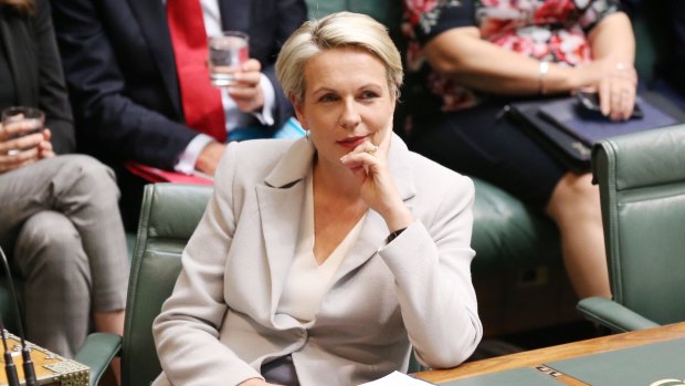 Tanya Plibersek urged Coalition MPs to back Malcolm Turnbull's own previous position of support for a free vote on gay marriage