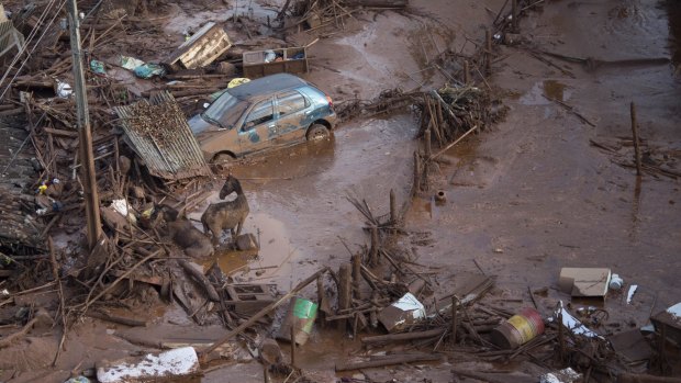 Two of Samarco's tailings dams in the state of Minas Gerais burst on November 5, sending a wall of water and mining waste into the valley below.